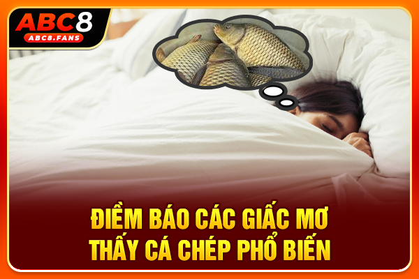 Điềm báo các giấc mơ thấy cá chép phổ biến